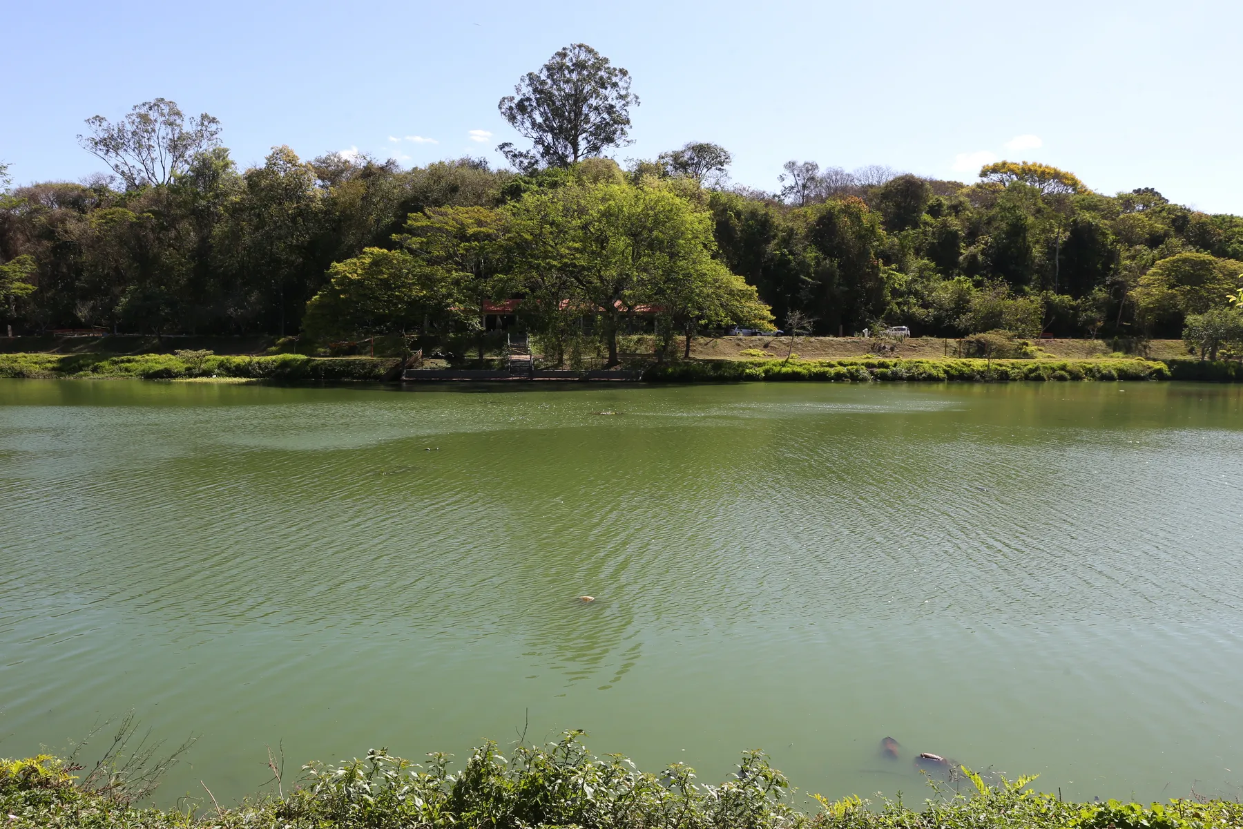 Imagem ilustrativa da imagem Sema estuda três datas para reabertura do Arthur Thomas