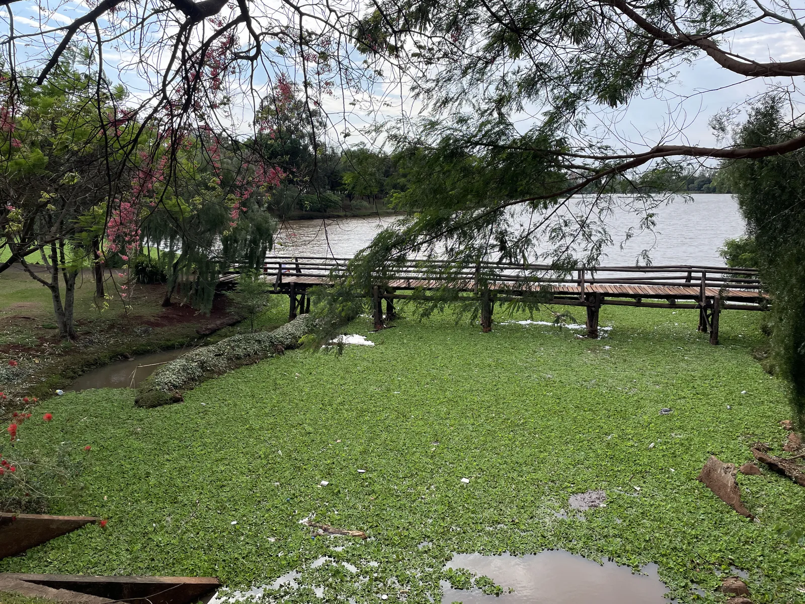 Imagem ilustrativa da imagem UTFPR analisa impacto da água do Igapó após a chuva