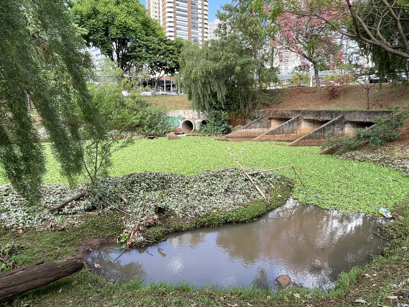 Imagem ilustrativa da imagem UTFPR analisa impacto da água do Igapó após a chuva