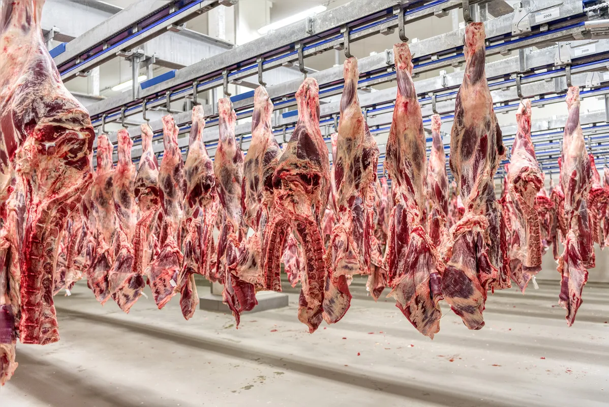 Imagem ilustrativa da imagem Agro paranaense comemora retirada das taxas americanas
