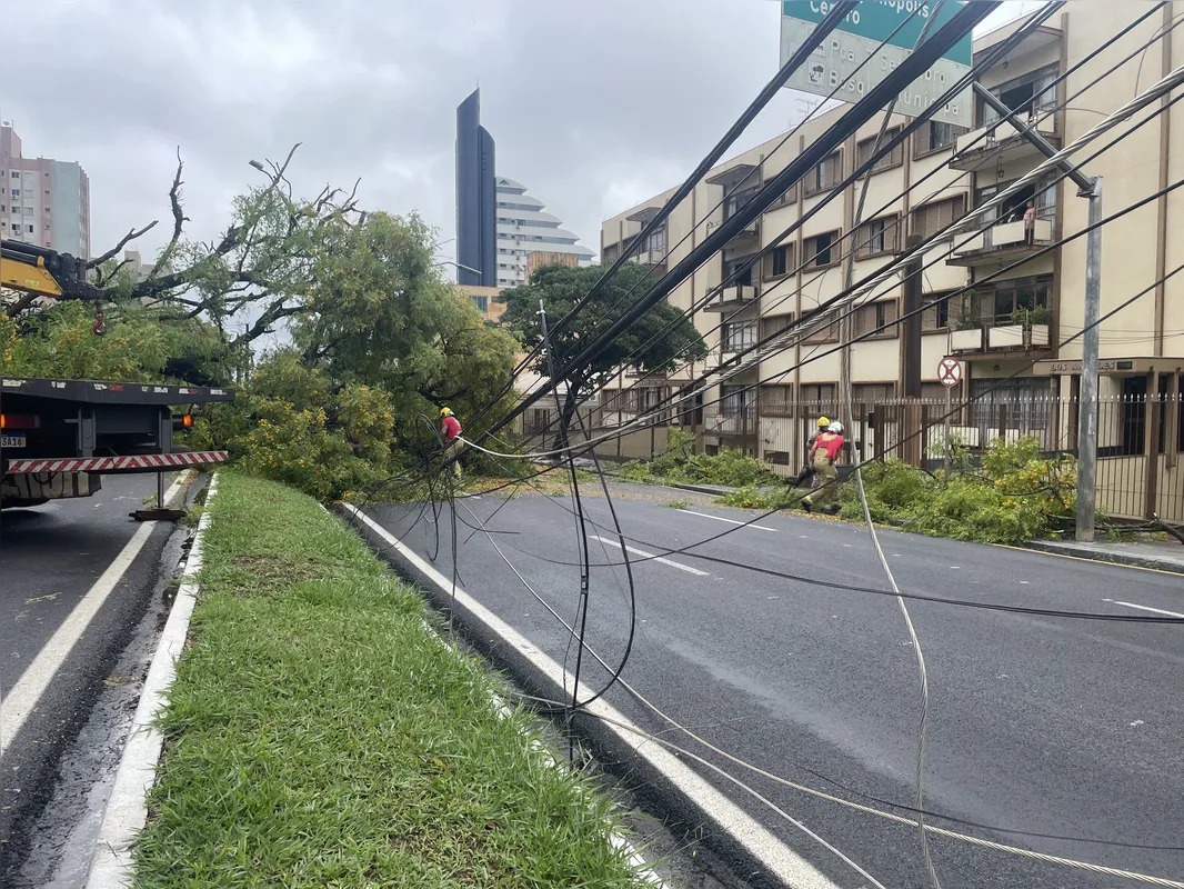 Imagem ilustrativa da imagem Árvore cai e atinge carro estacionado na Avenida JK