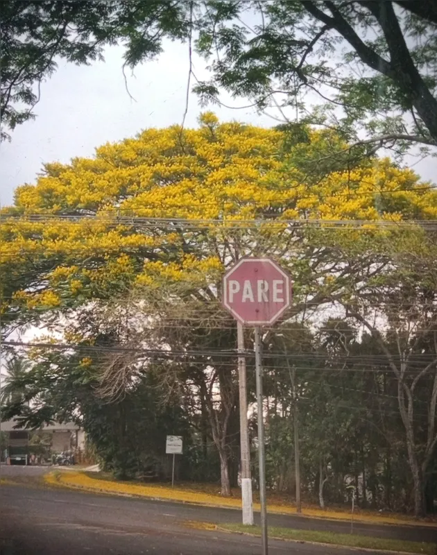 Imagem ilustrativa da imagem CIDADE FALA