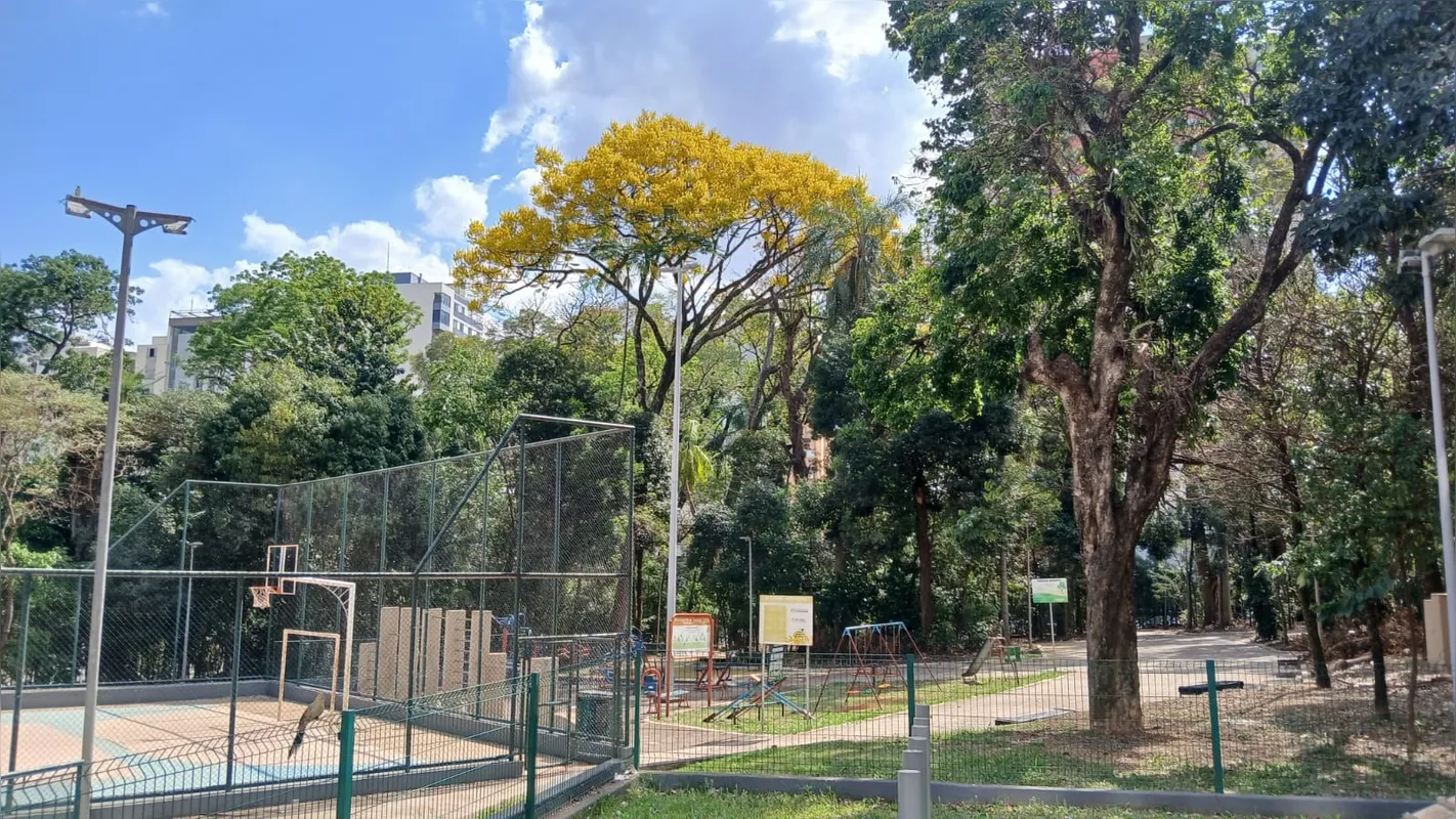 Imagem ilustrativa da imagem CIDADE FALA