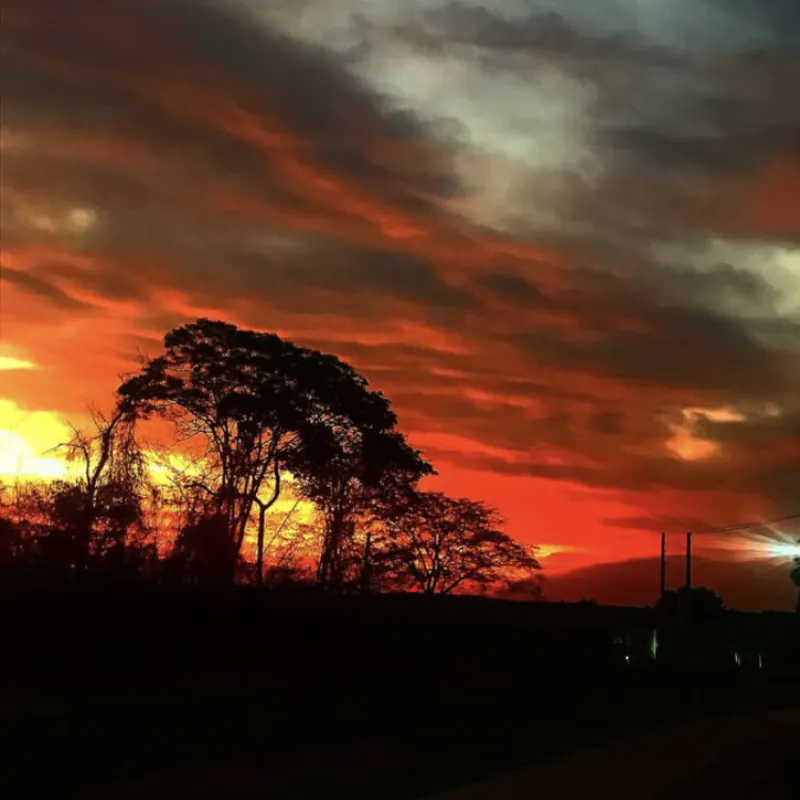 Imagem ilustrativa da imagem CIDADE FALA