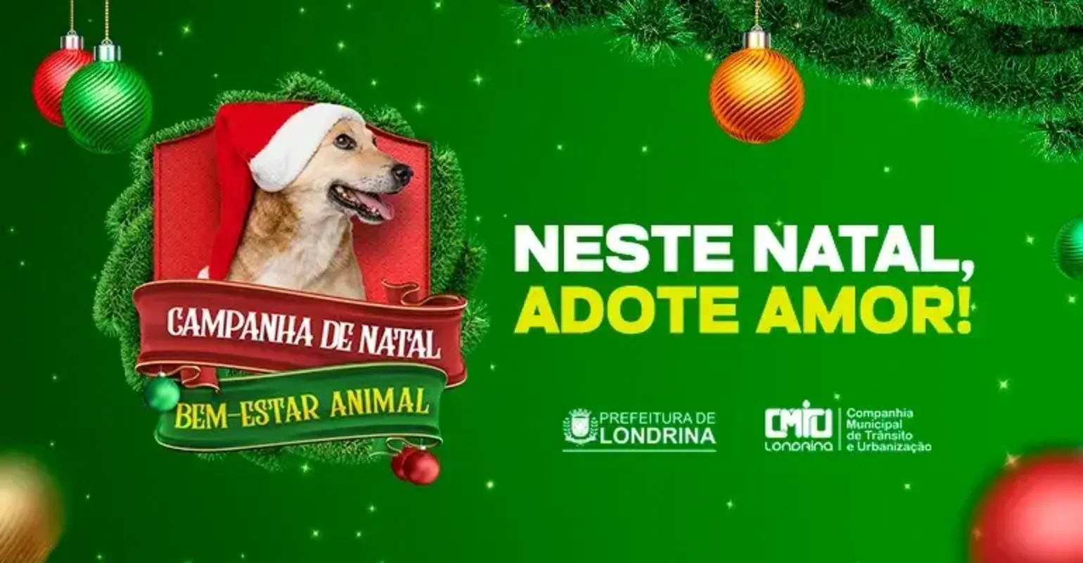 Imagem ilustrativa da imagem CMTU lança campanha para adoção de cães e gatos neste Natal