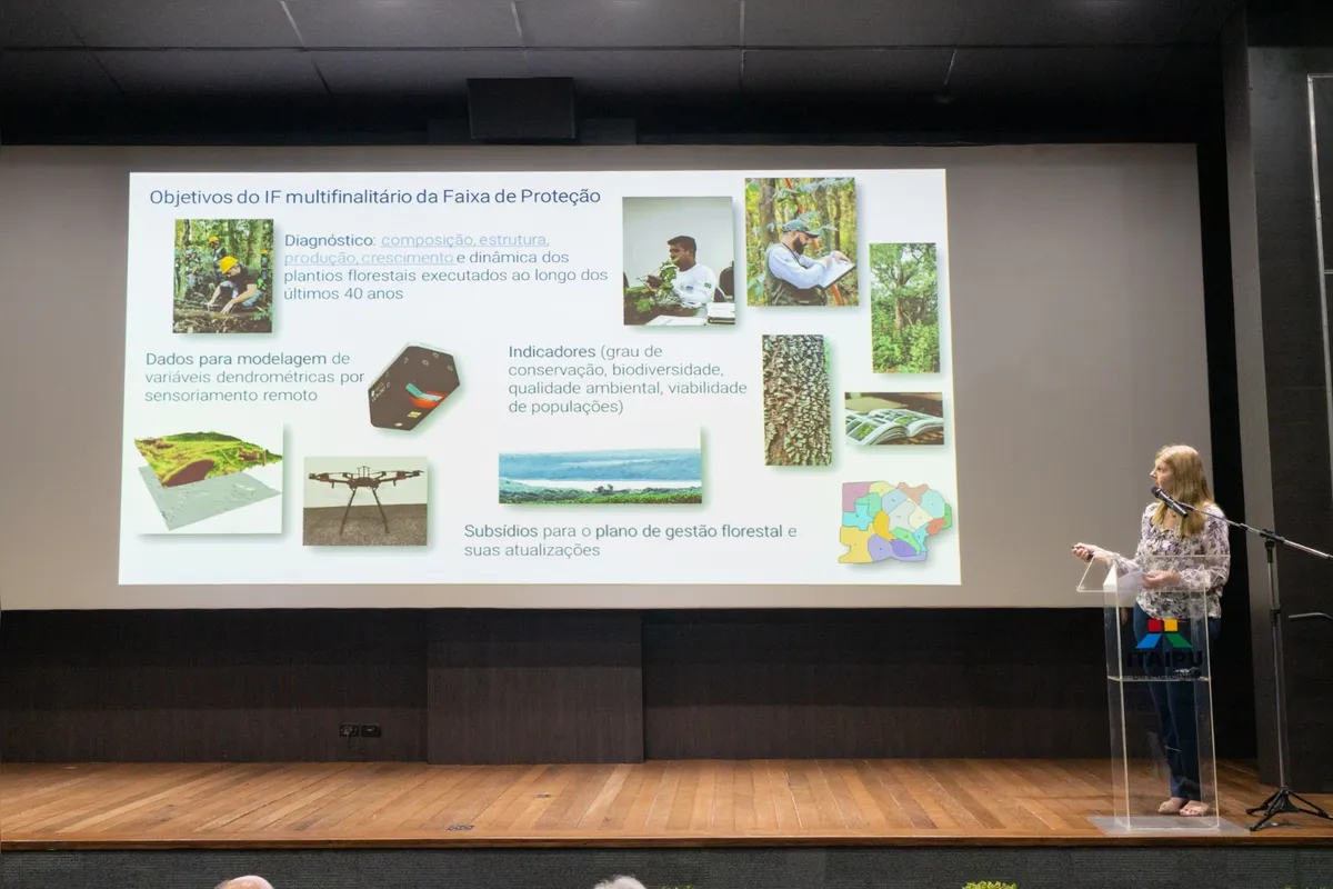 Imagem ilustrativa da imagem Diversidade vegetal da faixa de proteção do reservatório da Itaipu triplica em 40 anos