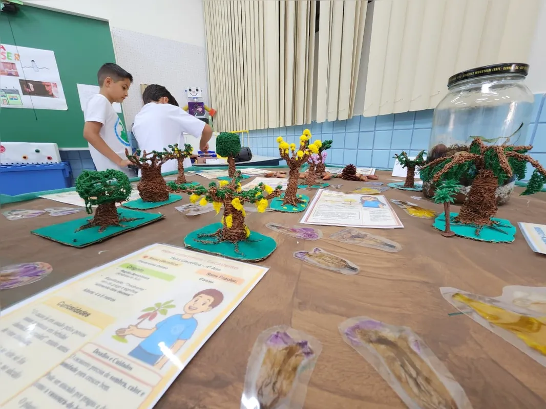Os alunos apresentaram soluções criativas para problemas reais, com projetos envolvendo ciências, meio ambiente, tecnologia e astronomia