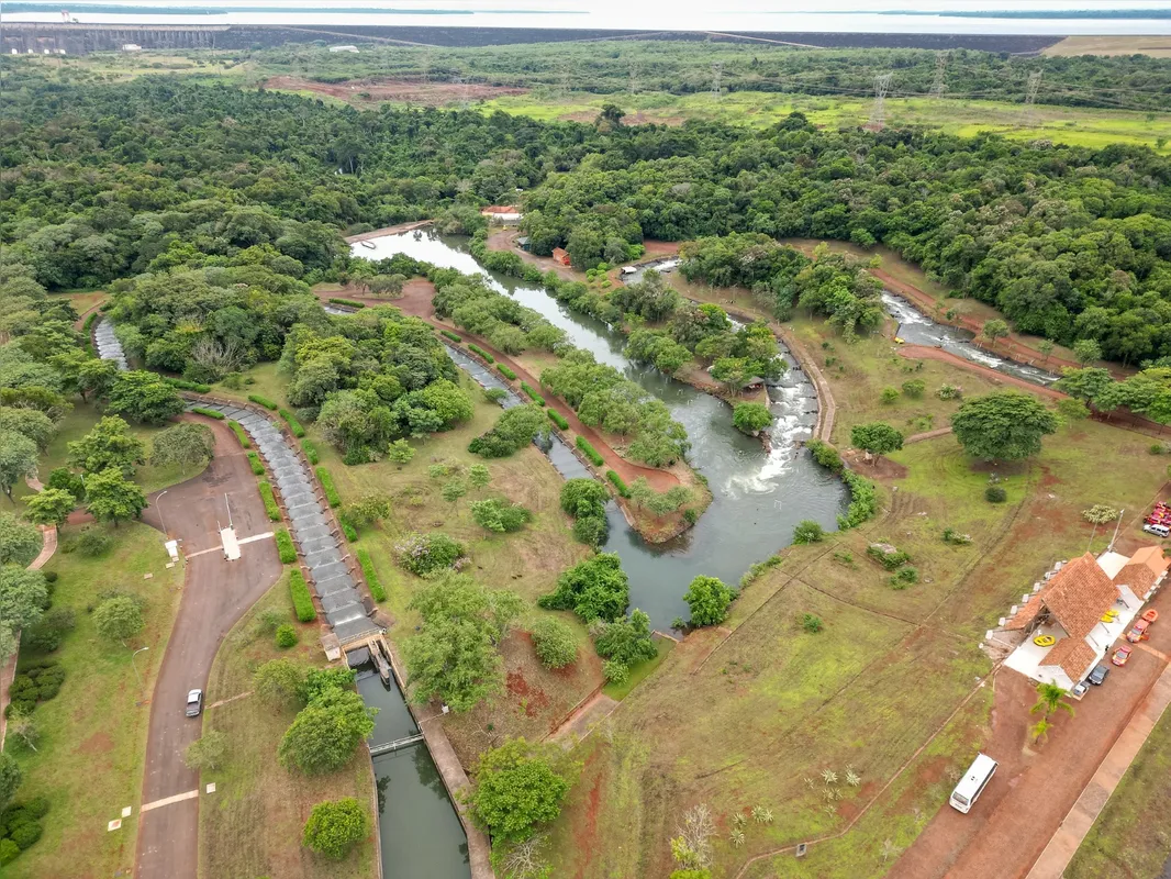 Imagem ilustrativa da imagem Itaipu capacita técnicos para implantar marcadores eletrônicos em peixes