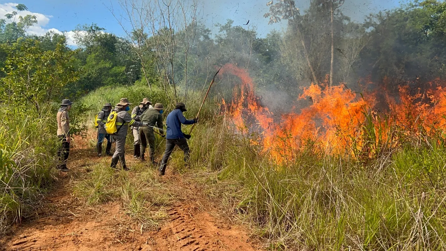 Imagem ilustrativa da imagem Itaipu registra redução histórica no índice de incêndios florestais em 2025