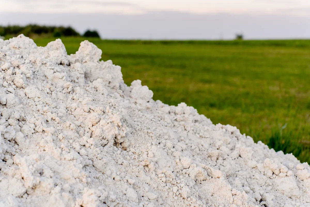 Imagem ilustrativa da imagem Novo curso da UEL mira ‘boom’ de terras raras e de agrominerais