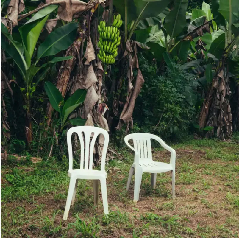 Capa de “Debí Tirar Más Fotos”, o álbum premiado de Bad Bunny