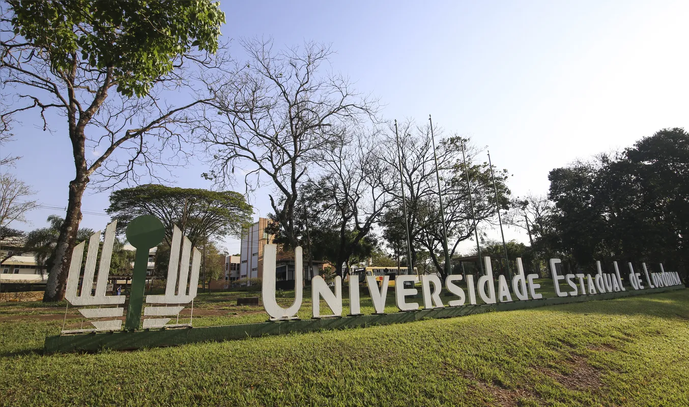 Imagem ilustrativa da imagem O papel decisivo das universidades na Londrina que cresce e inova