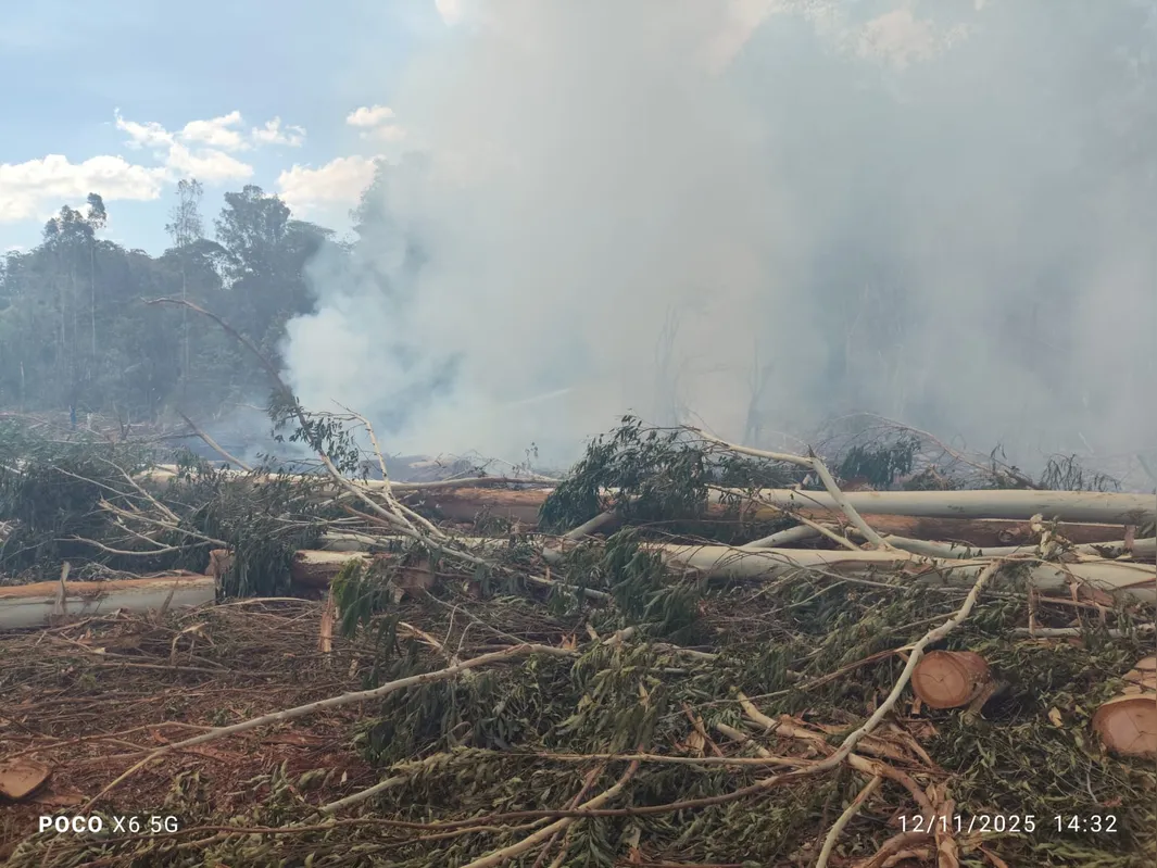 Imagem ilustrativa da imagem Responsáveis por incêndio em Arapongas são multados em R$ 85 mil