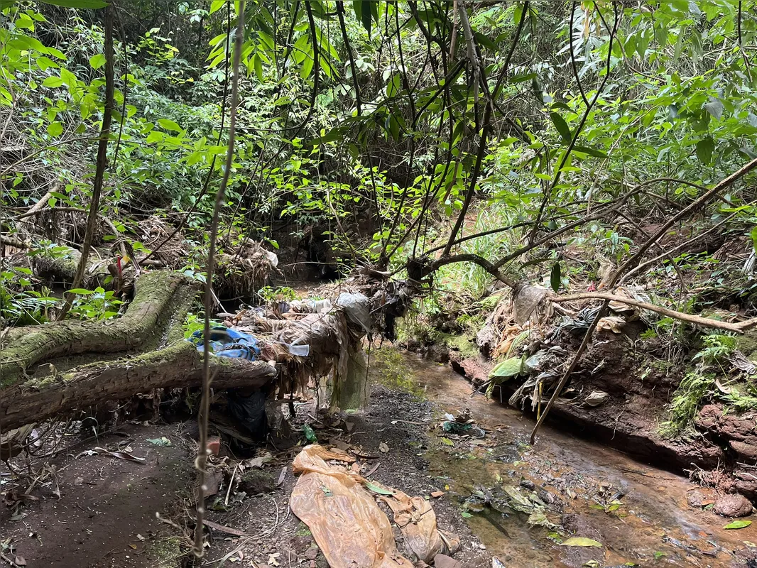 Imagem ilustrativa da imagem Ribeirão Cambé: a bacia que respira Londrina e agoniza no Igapó