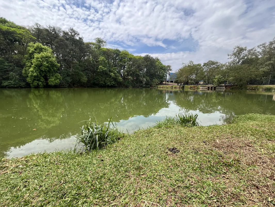 Imagem ilustrativa da imagem Ribeirão Cambé: a bacia que respira Londrina e agoniza no Igapó