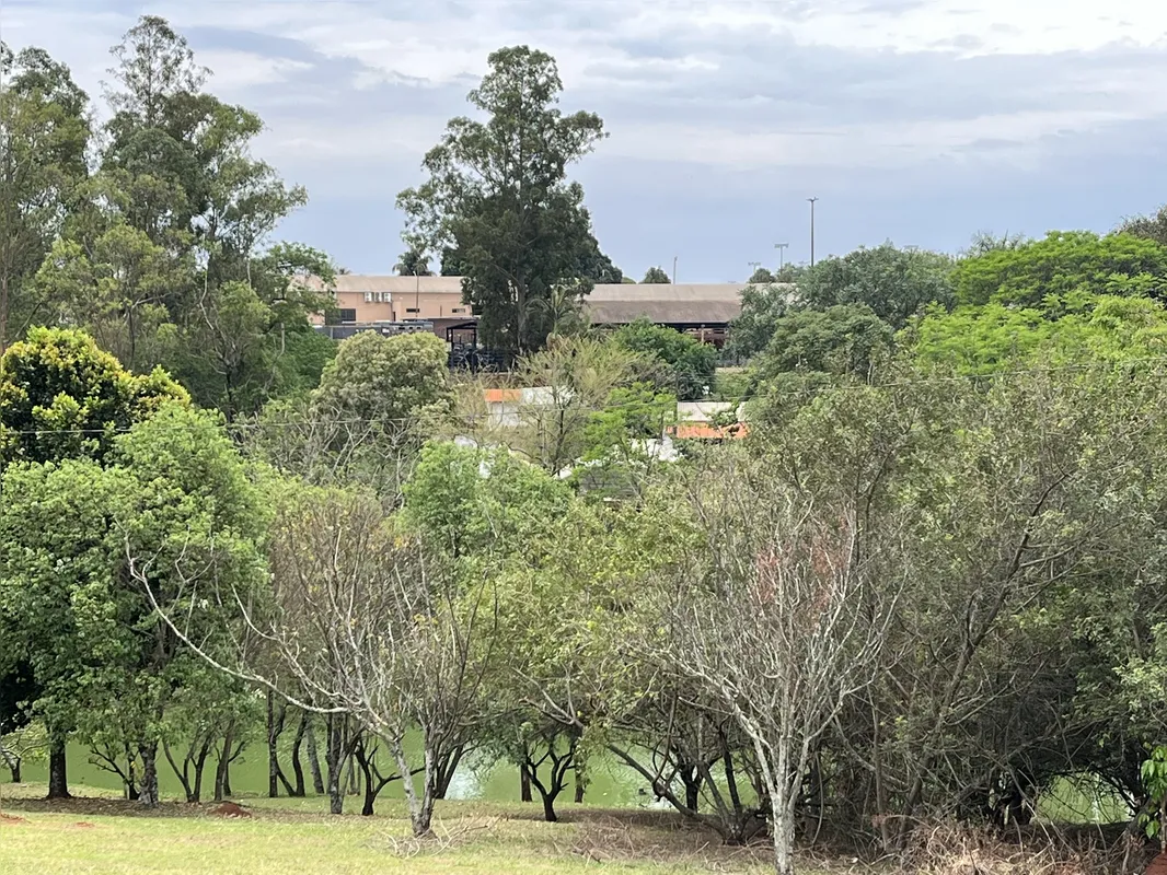 Imagem ilustrativa da imagem Ribeirão Cambé: a bacia que respira Londrina e agoniza no Igapó