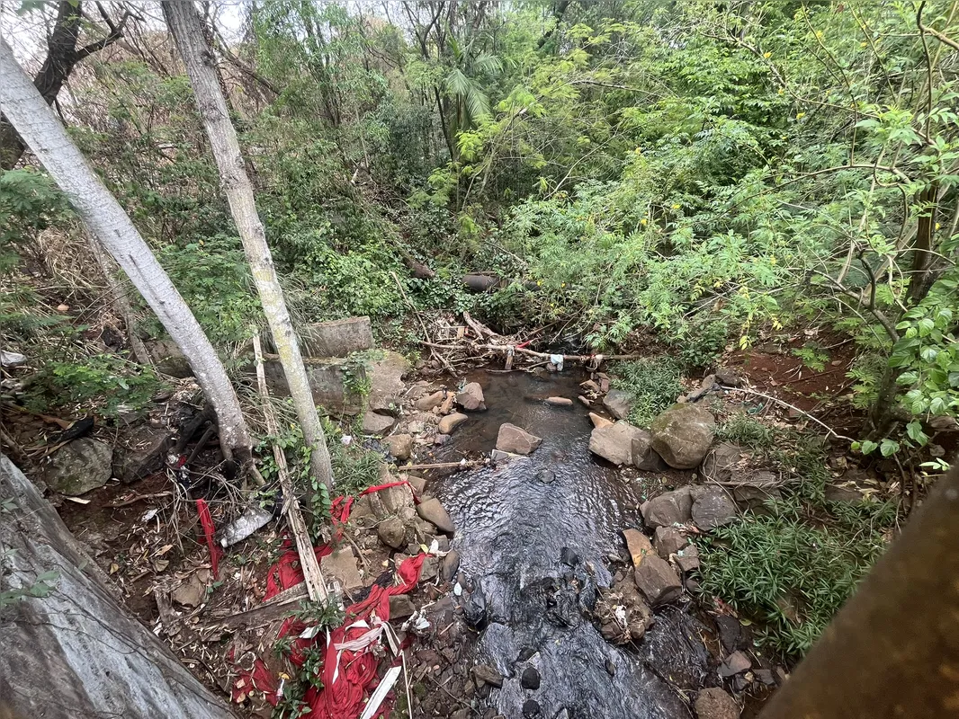 Imagem ilustrativa da imagem Ribeirão Cambé: a bacia que respira Londrina e agoniza no Igapó