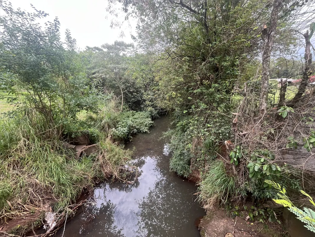 Imagem ilustrativa da imagem Ribeirão Cambé: a bacia que respira Londrina e agoniza no Igapó