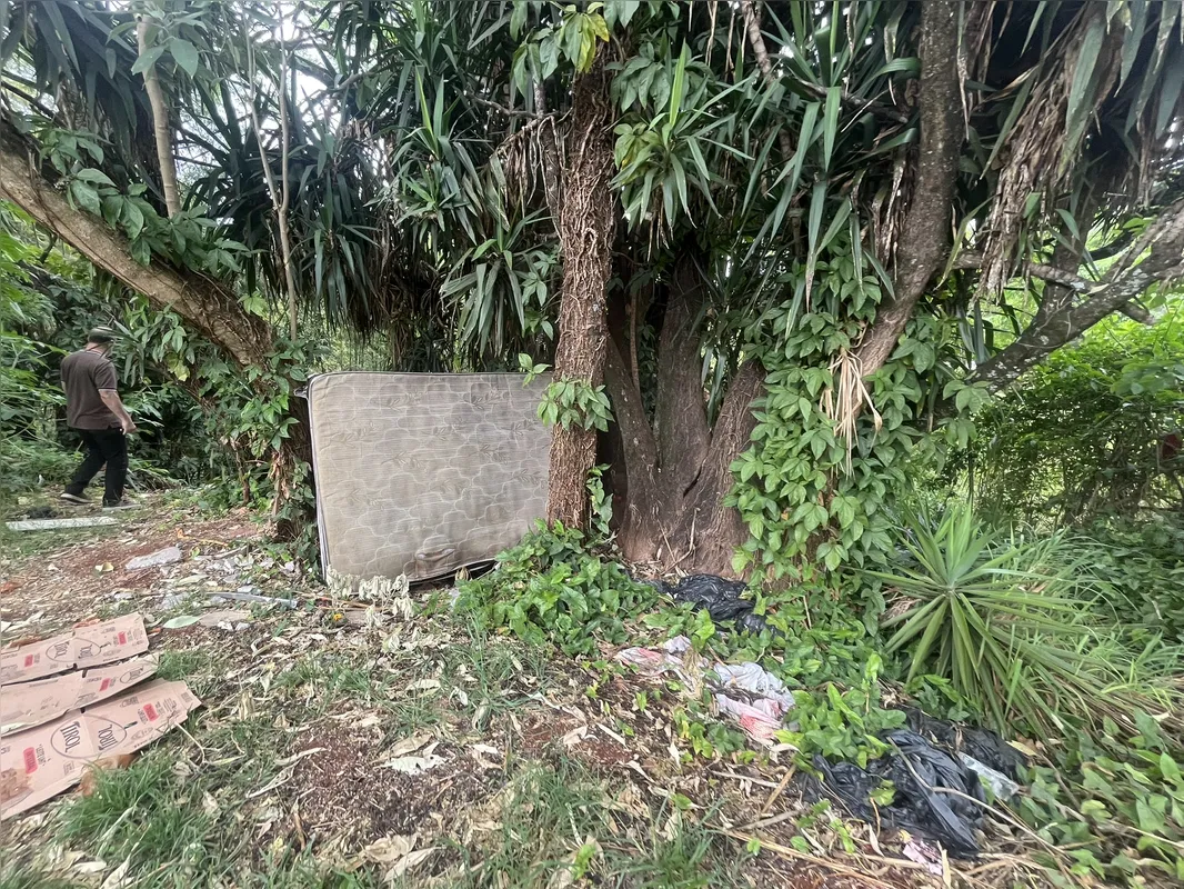 Imagem ilustrativa da imagem Ribeirão Cambé: a bacia que respira Londrina e agoniza no Igapó
