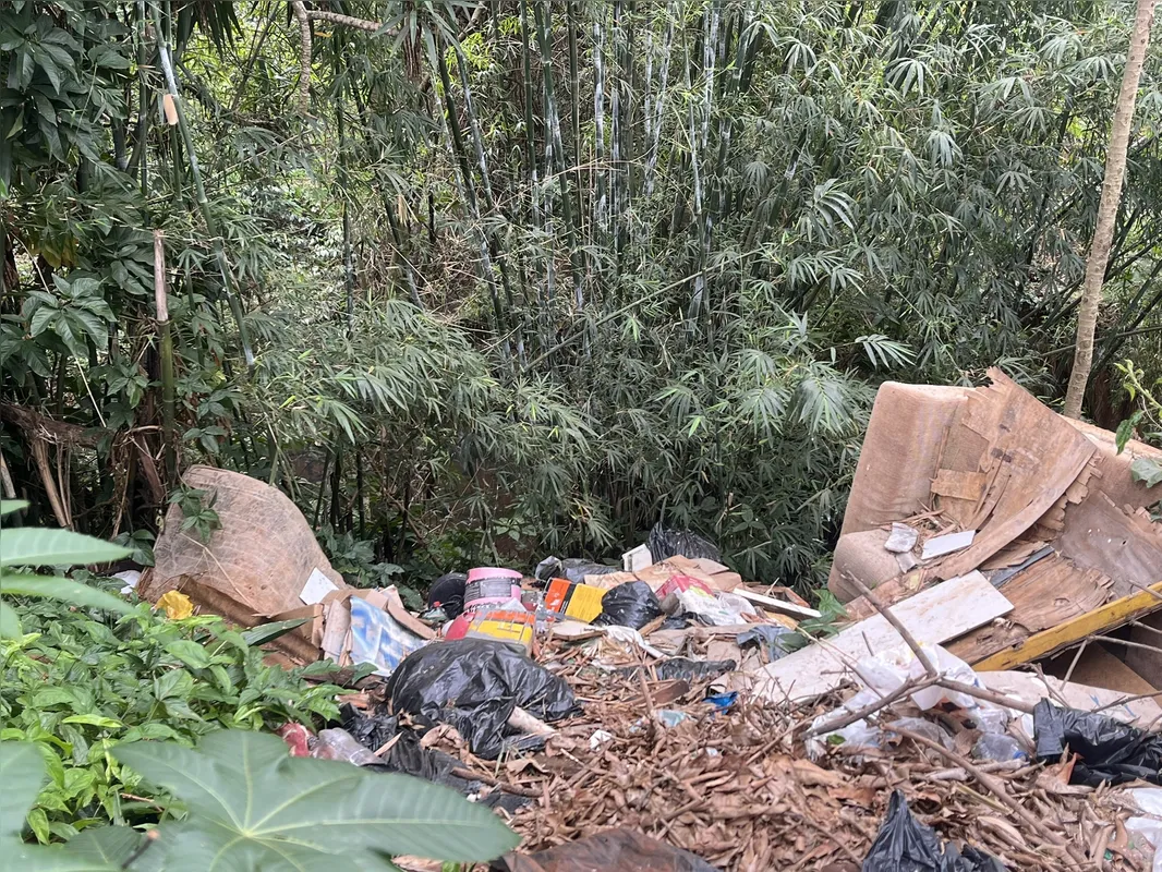 Imagem ilustrativa da imagem Ribeirão Cambé: a bacia que respira Londrina e agoniza no Igapó