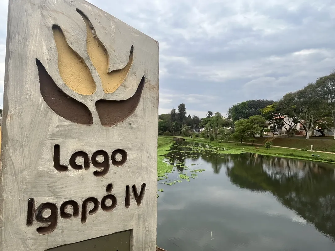 Imagem ilustrativa da imagem Ribeirão Cambé: a bacia que respira Londrina e agoniza no Igapó