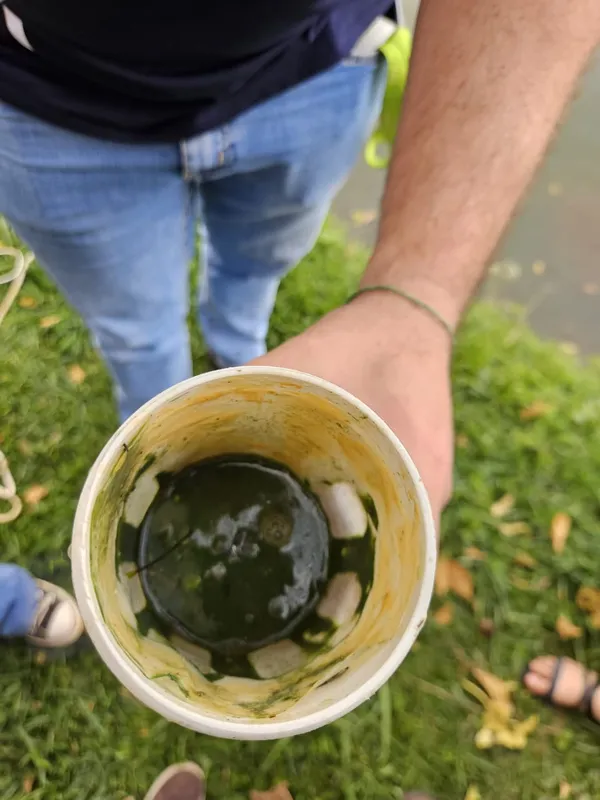 Material coletado para análise no Lago Igapó