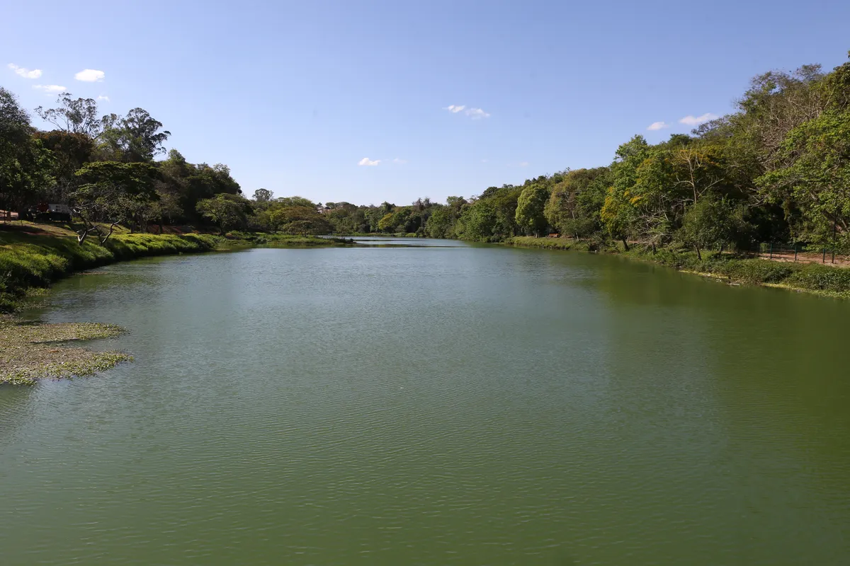 Lago do Parque Arthur Thomas