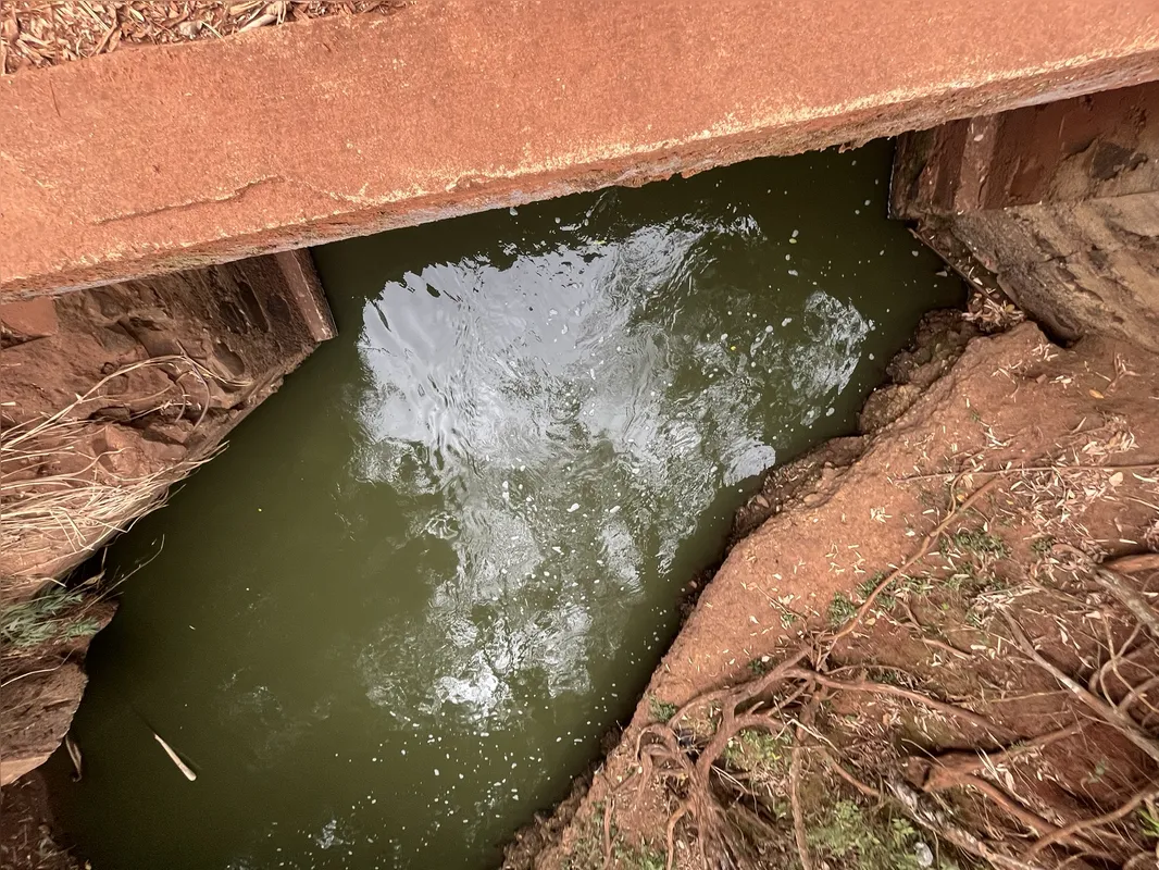 Ribeirão Cambé sob a ponte da Estrada Shalon, na zona Rural de Londrina