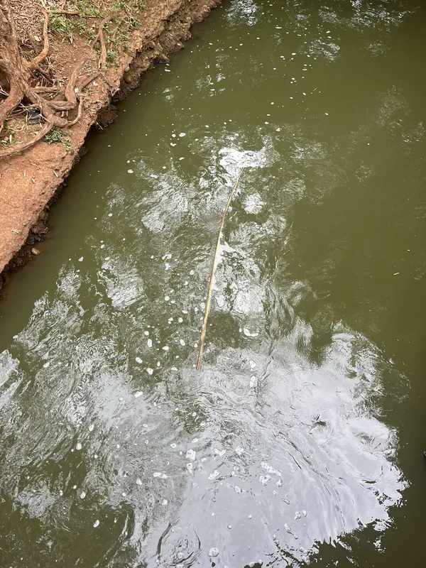 Espumas e resíduos orgânicos no Ribeirão Cambé sob a ponte da Estrada Shalon, na zona Rural de Londrina