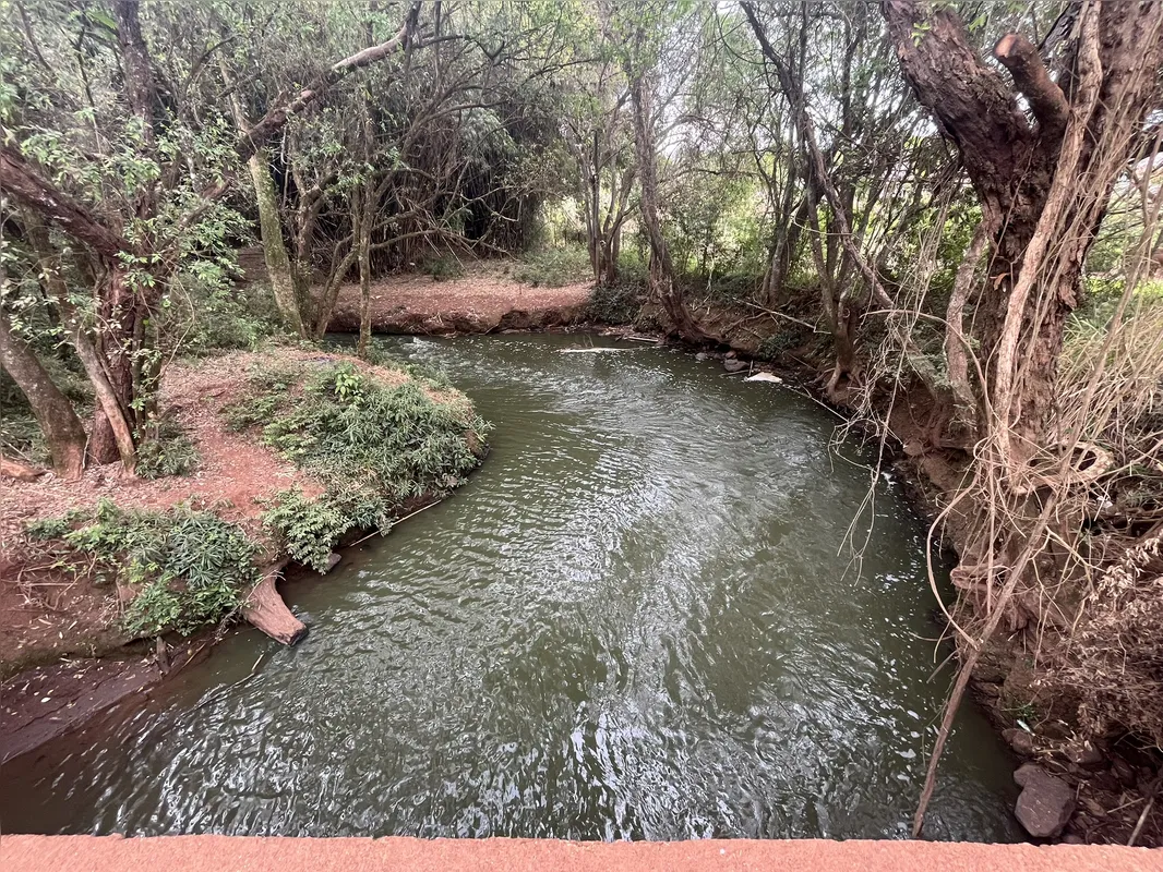 Ribeirão Cambé sob a ponte da Estrada Shalon, na zona Rural de Londrina