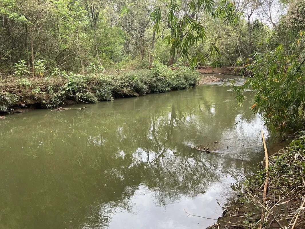 Ribeirão Cambé sob a ponte da Estrada Shalon, na zona Rural de Londrina