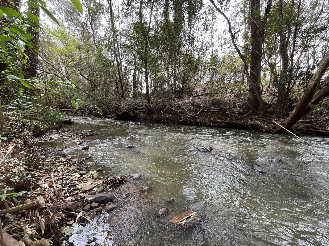 Espumas e degradação alcançam foz do Cambezinho com Ribeirão Trës Bocas.