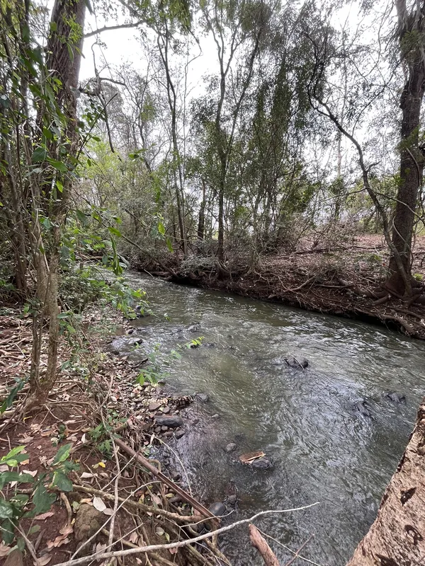 Imagem ilustrativa da imagem Ribeirão Cambé: a bacia que respira Londrina e agoniza no Igapó