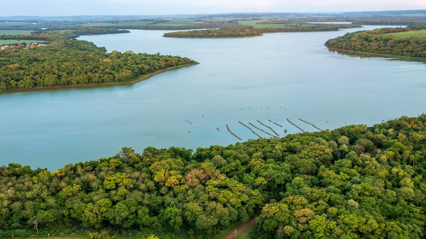 Imagem ilustrativa da imagem Senado do Paraguai aprova lei que permite cultivo de tilápia no reservatório da Itaipu