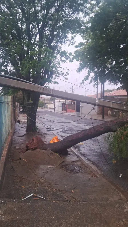 Estragos provocados pela chuva em Arapongas