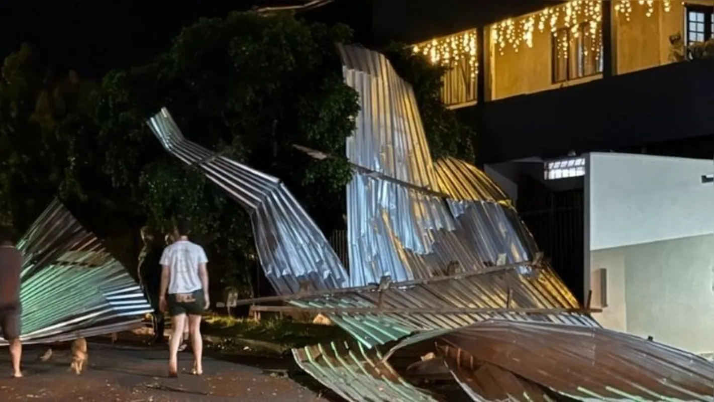 Imagem ilustrativa da imagem Temporal causa 126 quedas de árvore e deixa 10 mil imóveis sem luz em Londrina