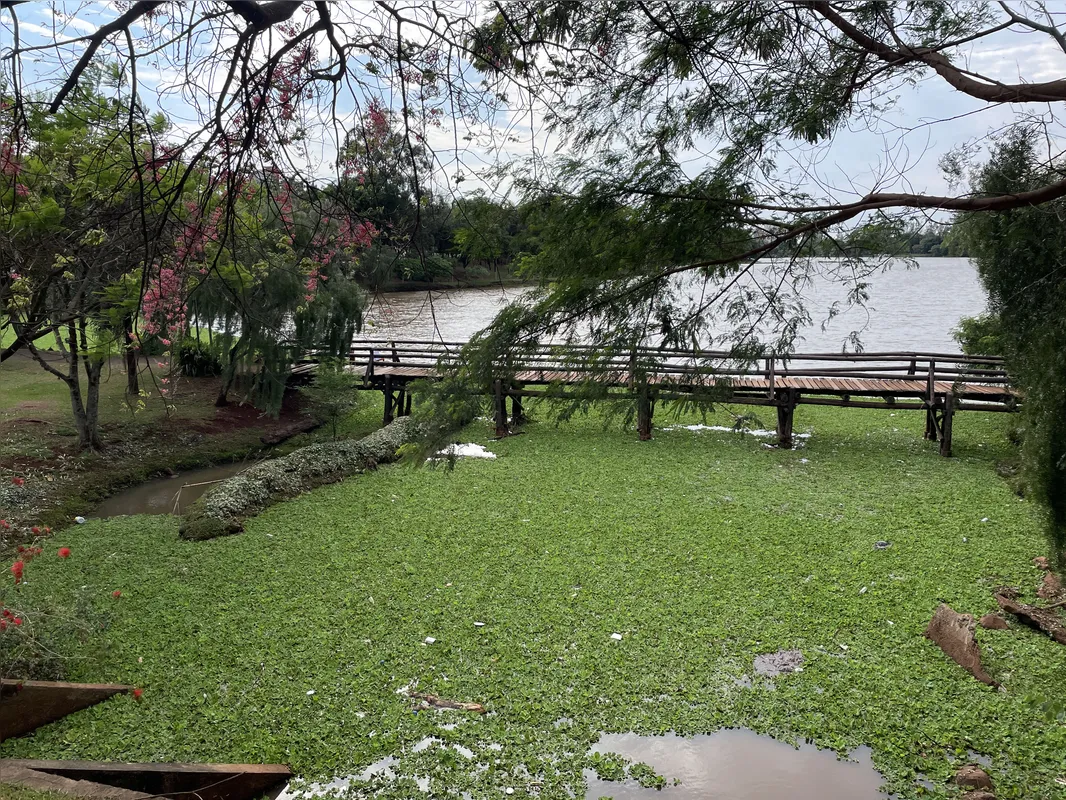 Imagem ilustrativa da imagem UTFPR analisa impacto da água do Igapó após a chuva