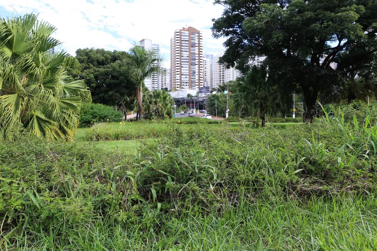 CMTU abre concorrência para manutenção de rotatórias. O objetivo é garantir que os canteiros da cidade recebam cuidados constantes de paisagismo