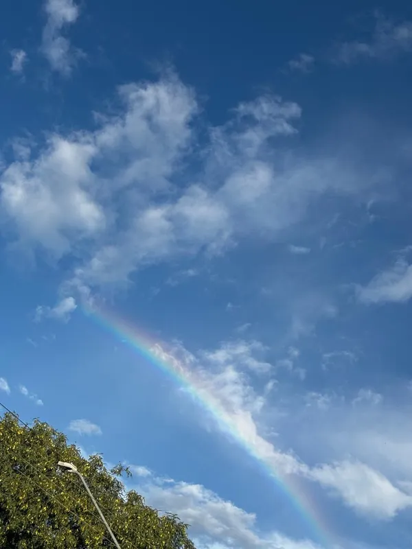 Imagem ilustrativa da imagem CIDADE FALA: O arco-íris risca o céu de Londrina