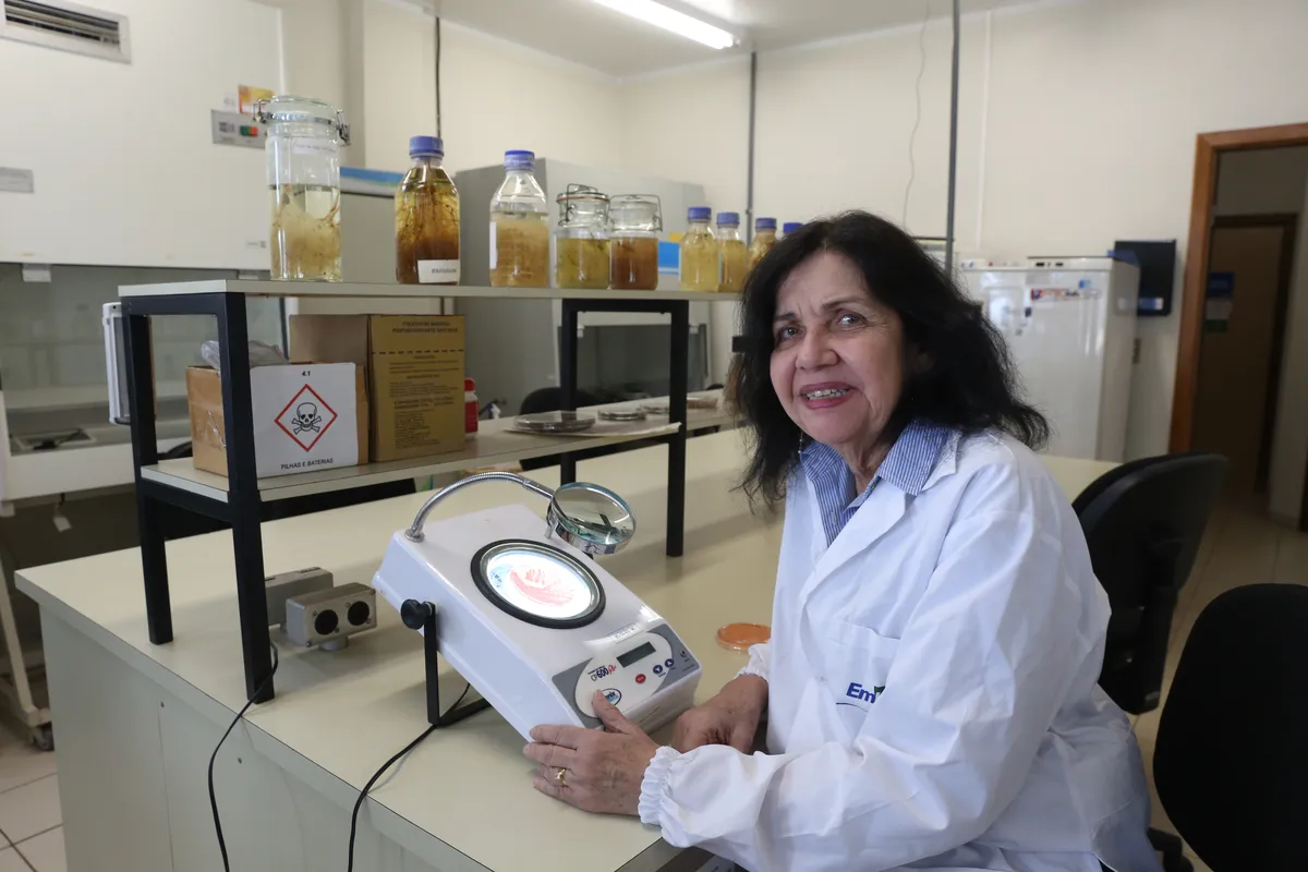 Imagem ilustrativa da imagem “Nobel’, COP, perda da mãe: a maior cientista da cidade nunca vai esquecer 2025