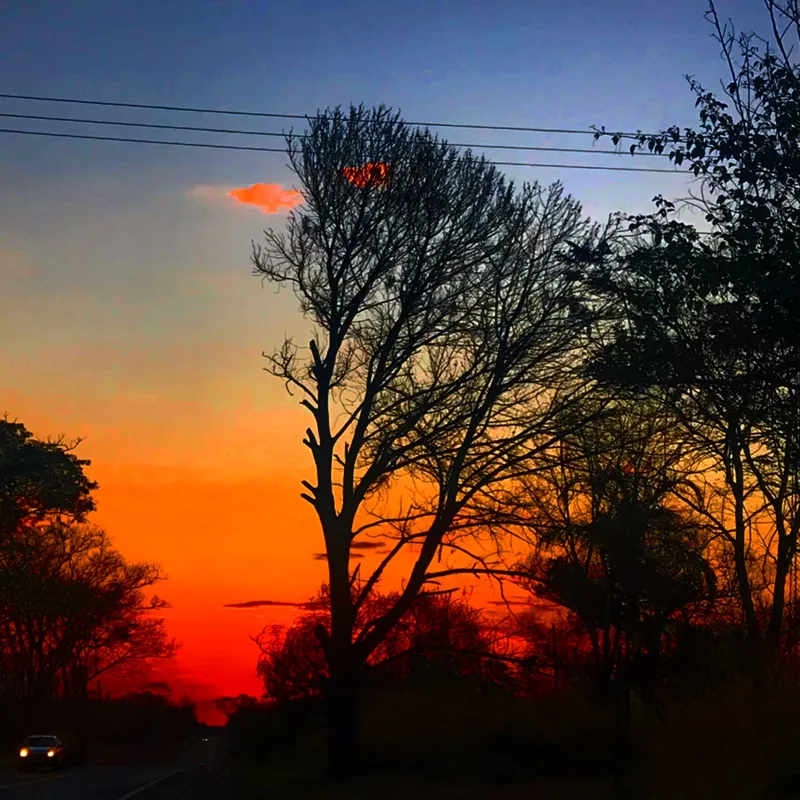 Imagem ilustrativa da imagem O céu de Londrina