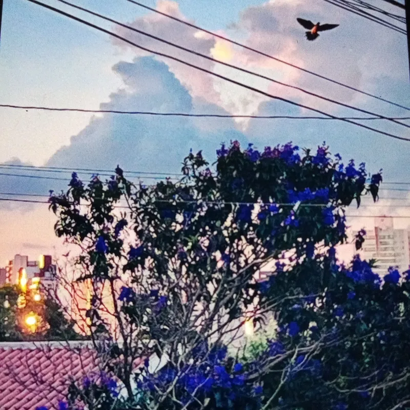 Imagem ilustrativa da imagem #A CIDADE FALA