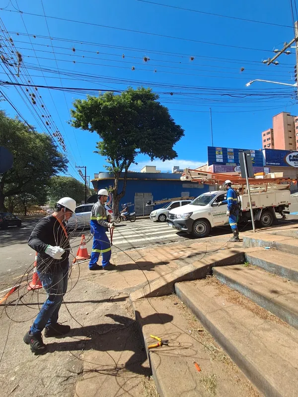 Imagem ilustrativa da imagem Ação integrada retira 300 kg de cabos em situação irregular em Cornélio