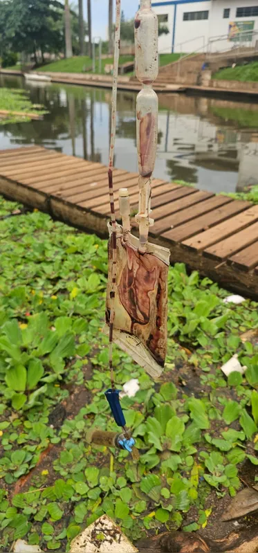 Imagem ilustrativa da imagem Bolsa de sangue  é recolhida no Lago Igapó 2