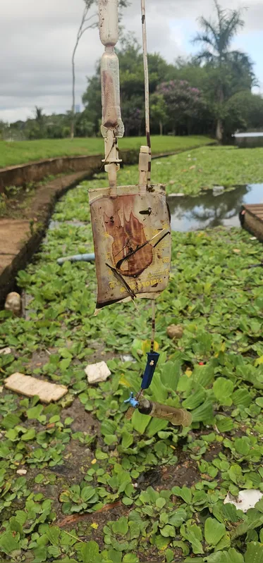 Imagem ilustrativa da imagem Bolsa de sangue  é recolhida no Lago Igapó 2
