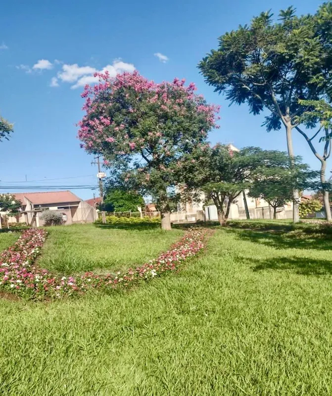 Imagem ilustrativa da imagem Caminhos Floridos