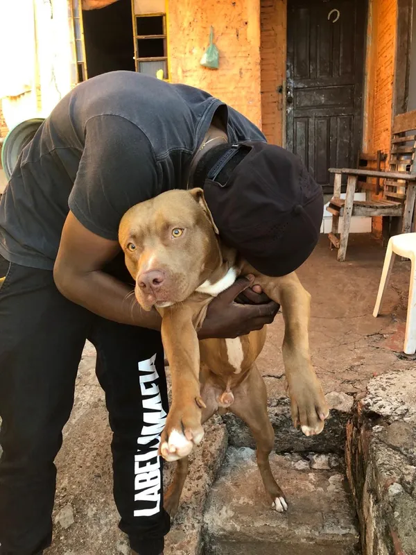 Max tinha cinco anos de idade e morava com os tutores no bairro Nossa Senhora da Paz