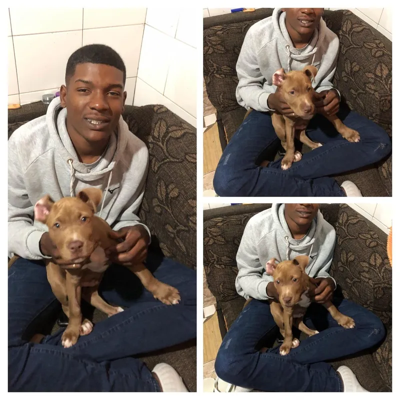 O gesseiro Vagner Augusto da Silva Roque era tutor de Max desde que o cachorro era um filhotinho