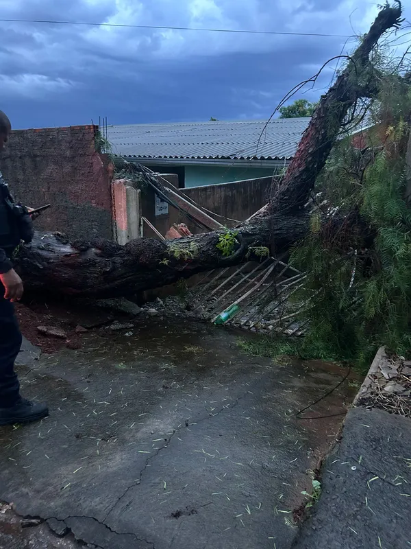 Imagem ilustrativa da imagem Defesa Civil de Apucarana atende ocorrências após temporal