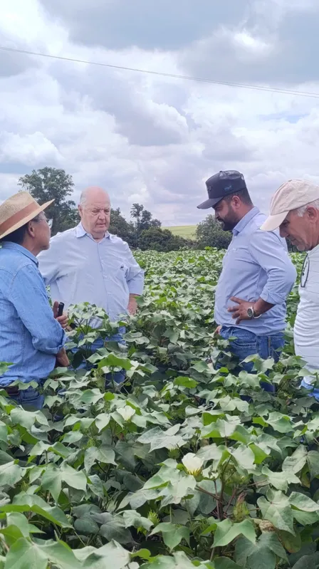 Almir Montecelli (segundo à esquerda)é um dos poucos produtores de algodão do Estado